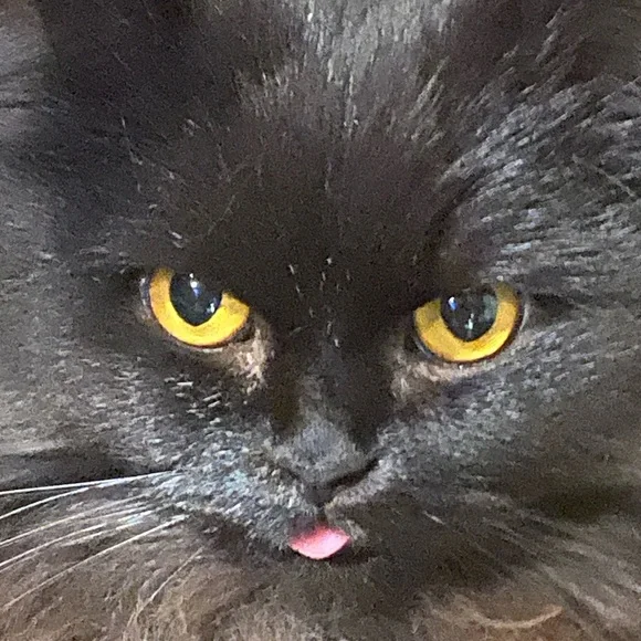 Send me an offer! - Picture 1 of 1